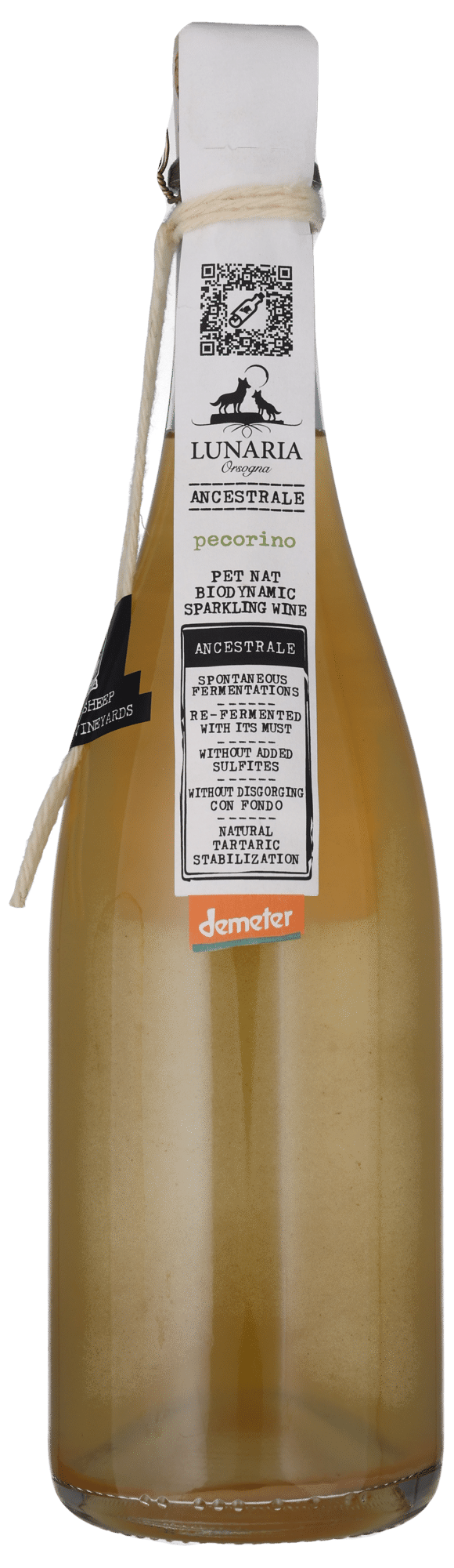 PECORINO BIO ANCESTRALE PET NAT Brut Nature, Cantina Orsogna, Abruzzo